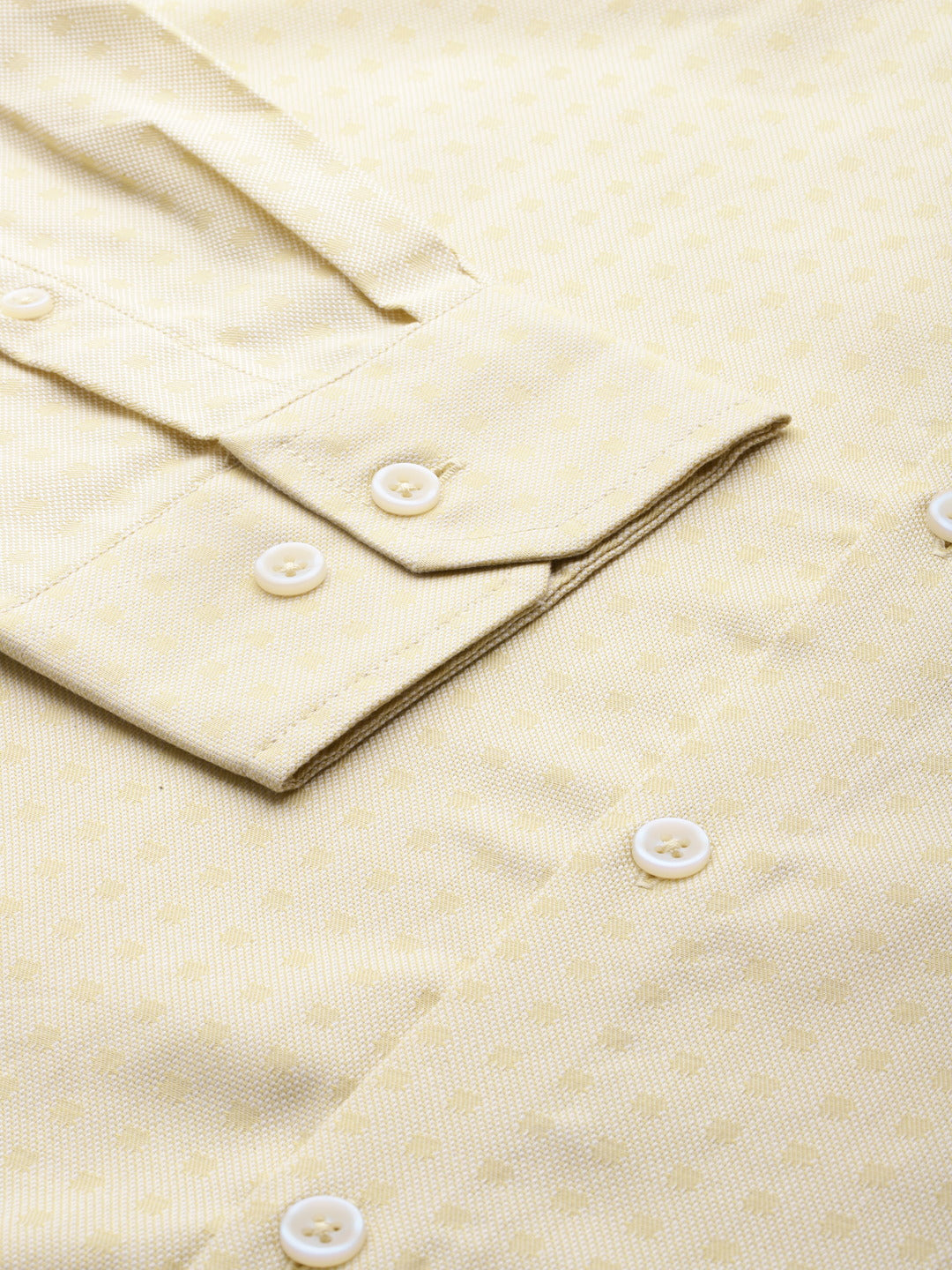 Thomas Scott Men Plus Size Premium Pure Cotton Formal Shirt