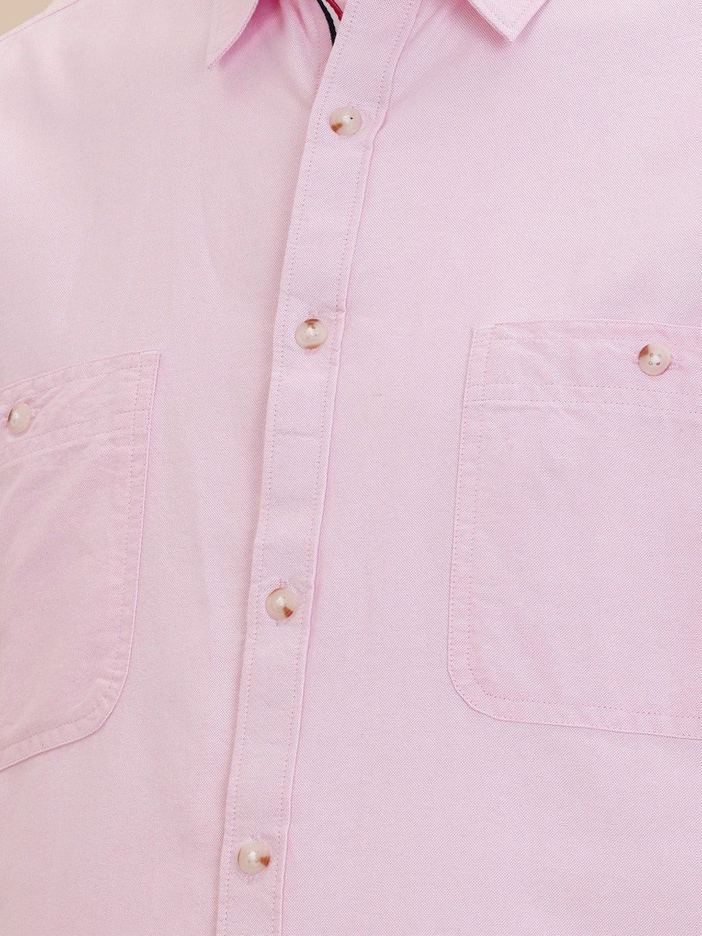 Pink Plus Size Regular Fit Long Sleeves Spread Collar Solid Cotton Oxford Casual Shirt For Men