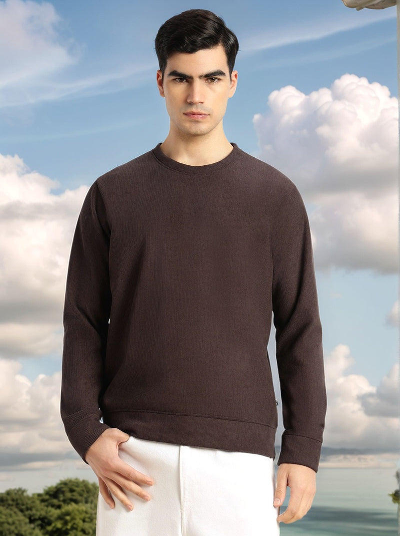 Thomas Scott Men Brown Regular Fit Long Sleeves Round Neck Solid Polyester Pullover Sweatshirt