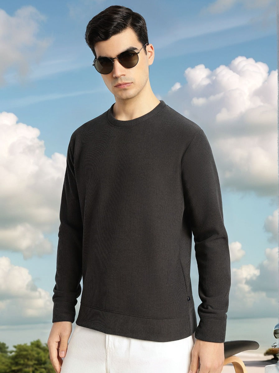 Thomas Scott Men Grey Regular Fit Long Sleeves Round Neck Solid Polyester Pullover Sweatshirt